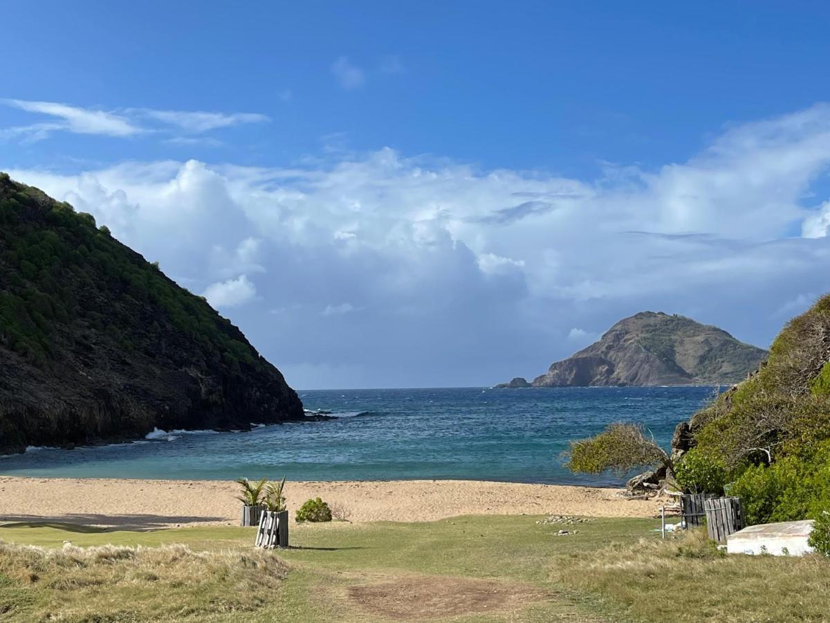 Blue Lagoon, Cottage Les Pieds Dans L Eau Terre-De-Haut Zewnętrze zdjęcie